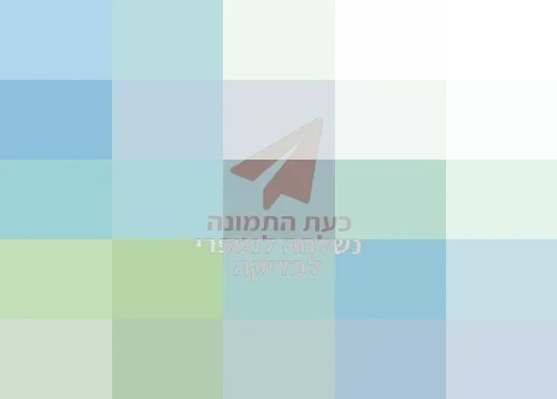 לוגו